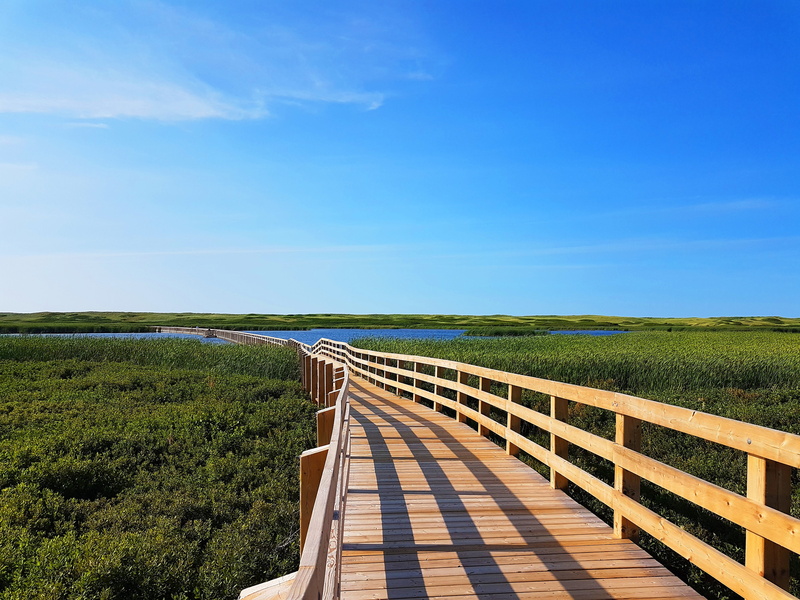 footpath, wood - material, province, sky, railing, scenics - nature, grass, water, outdoors, walking, dock, no people, tranquility, nature, park, lake