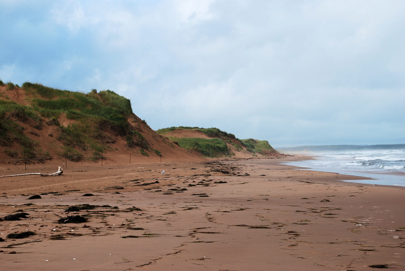 water, tranquility, non-urban scene, provinces, shoreline, prince edward island, scenery, nature, shore, cloud - sky, sky, landscape, coast, tranquil scene