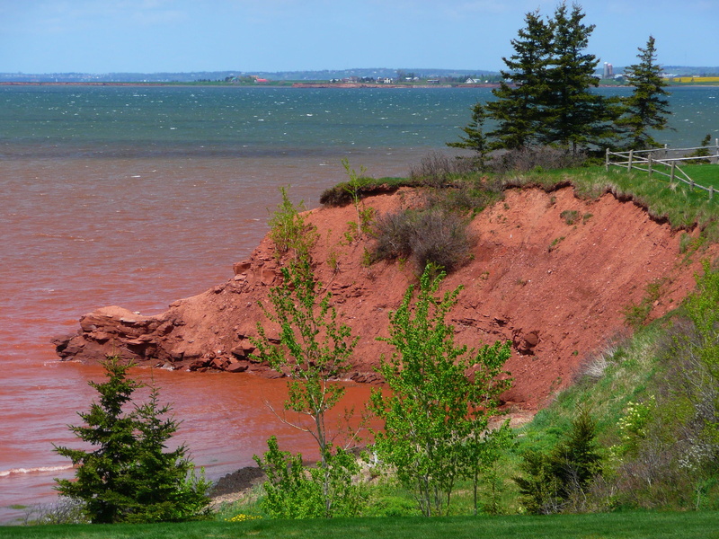 sea, near, Water, green color, rock - object, rock, soil, canada, leafed, sky, no people, Coastline, seascape, landscapes, nature, beauty in nature, growth