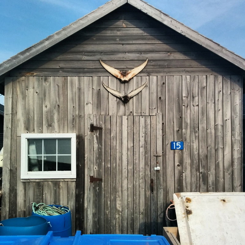 no people, door, window, blue, closed, shape, building exterior, built structure, outdoors, old, residential district, sunlight, hut, prince edward island