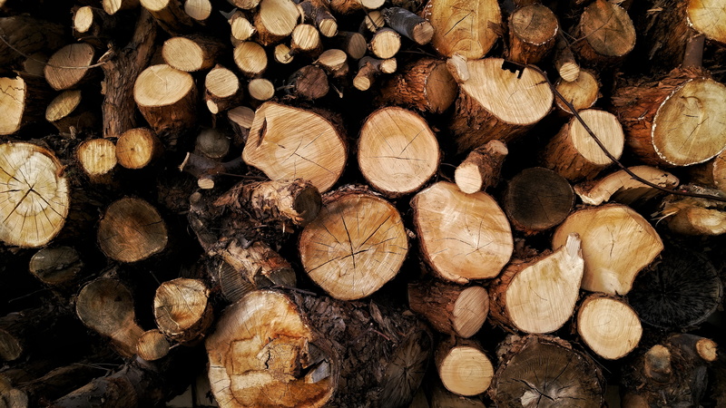 design, timber, brown, material, full frame, outdoors, passage, woodpile, backgrounds, chopped, forest, fuel and power generation, texture, tunnel, color