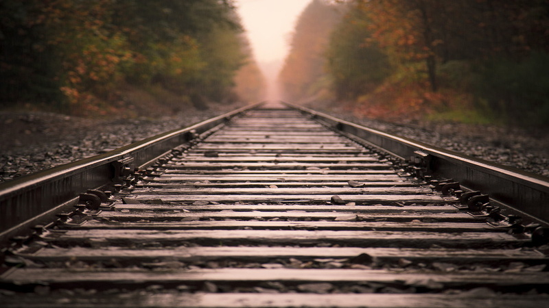 surface level, diminishing perspective, fog, track, passage, nature, bar, plant, transportation, metal, railway, direction, railroad track, way, vanishing point
