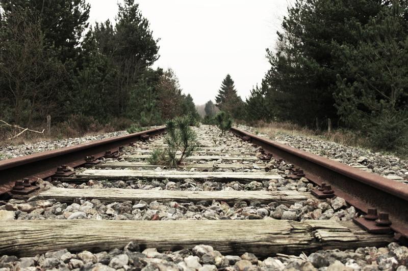 wood, gravel, vanishing point, surface level, straight, transportation, tranquil scene, steel, land, outdoors, trees, track, diminishing perspective, metal