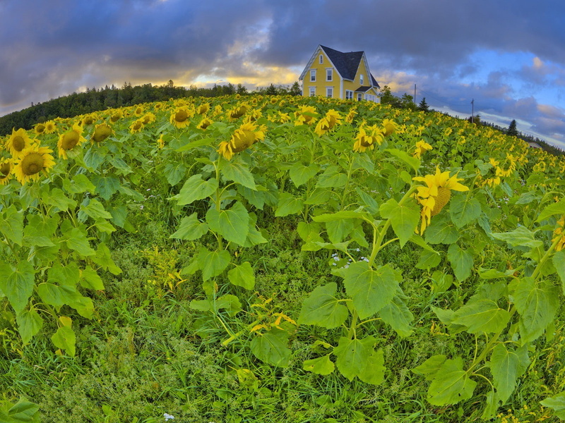 720P, edward, nature, island, prince, landscapes
