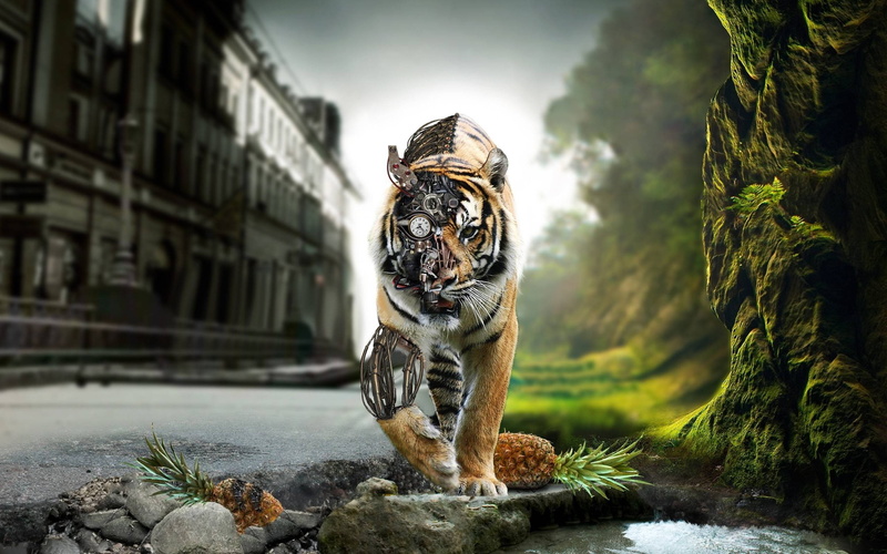 day, whisker, mammal, animals in the wild, focus on foreground, vertebrate, one animal, gears, Tiger, feline, Clockwork, robot, carnivora, animal wildlife
