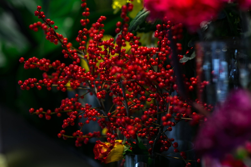selective focus, fruit, fragility, yellow, composition, plant, arrangement, close-up, flora, rowanberry, flower head, 4K, outdoors, bouquet, food and drink