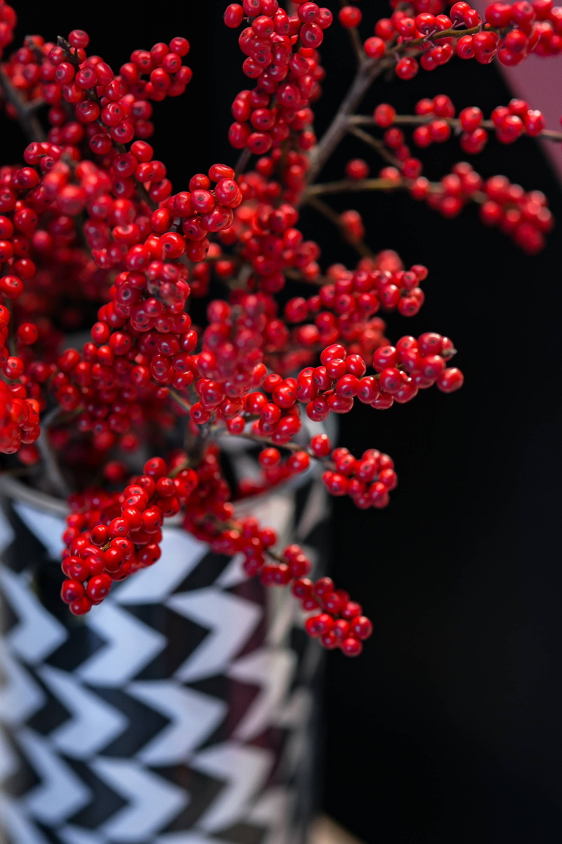 flower head, fruit, 2K, flower, no people, red, berry Fruit, healthy eating, food, wellbeing, food and drink, white, beauty in nature, pot, freshness
