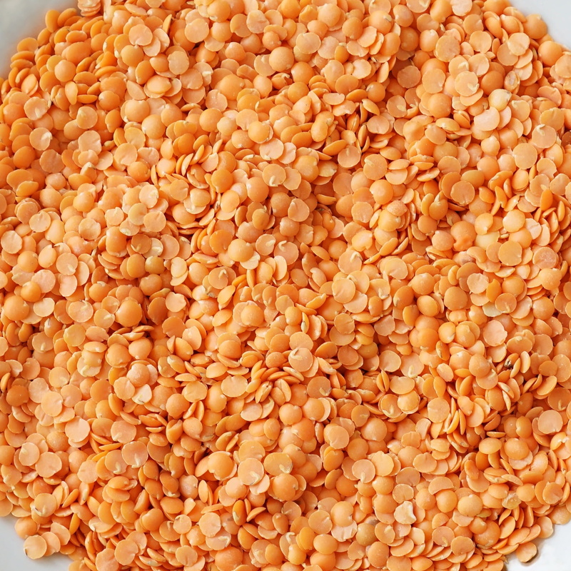 organic, eating, health, seed, vegetable, wellbeing, lentil, heap, food and drink, vegetarian Food, no people, still life, 1080P, snack, bean, indoors