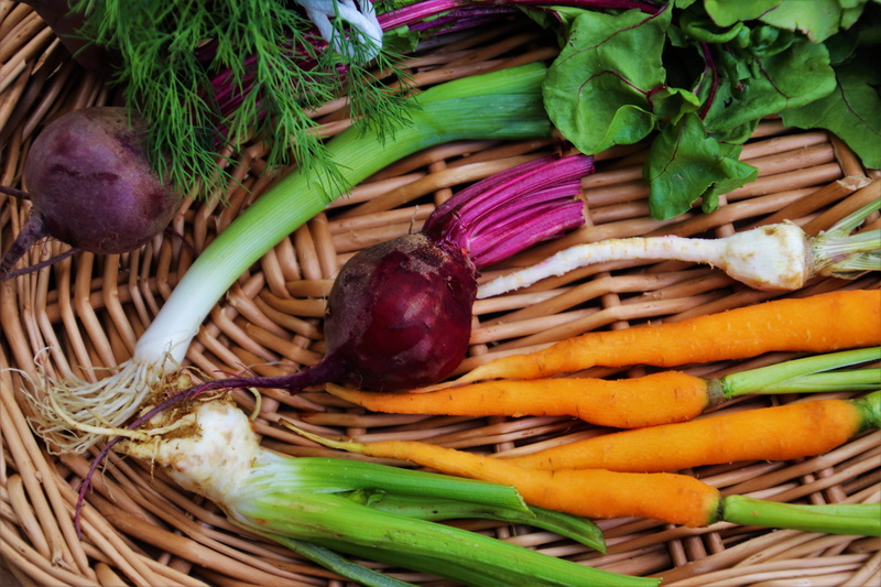 high angle view, multi colored, colorful, vegetables, indoors, food and drink, no people, diet, vegetarian food, wicker, herb, natural, carrot, choice