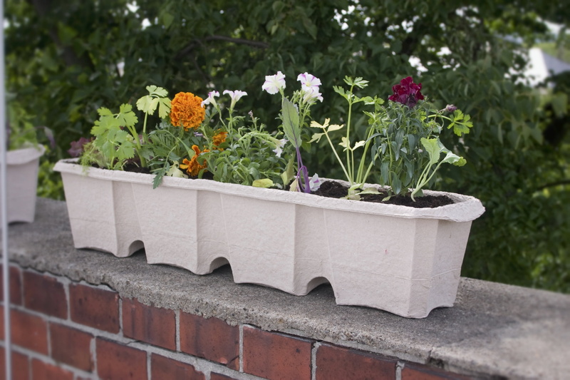 guerilla gardening, flower head, nature, waste paper, art and craft, flowers crate, flowering plant, green color, flower, multi colored, gardening, flowerpot