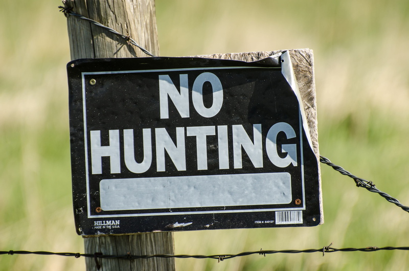 text, hanging, no hunting sign, no people, western script, 4K, information, road sign, direction, guidance, tree, signage, message, fence, barbed wire