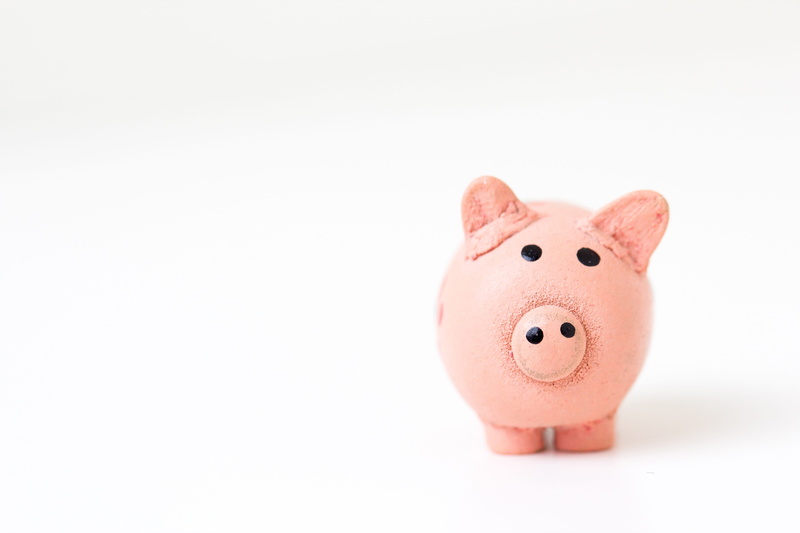 single object, business, pig, cut out, currency, piggy, bank, coin, toy, home Finances, holder, coins, pink Color, animal, studio Shot, Piggy bank, 4K