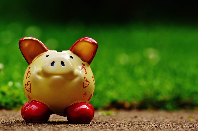 slot, savings bank, copy space, piglet, red, fun, green color, save, spar slot, 5K, bank note, grass, nature, meadow, funny, close-up, no people, investment