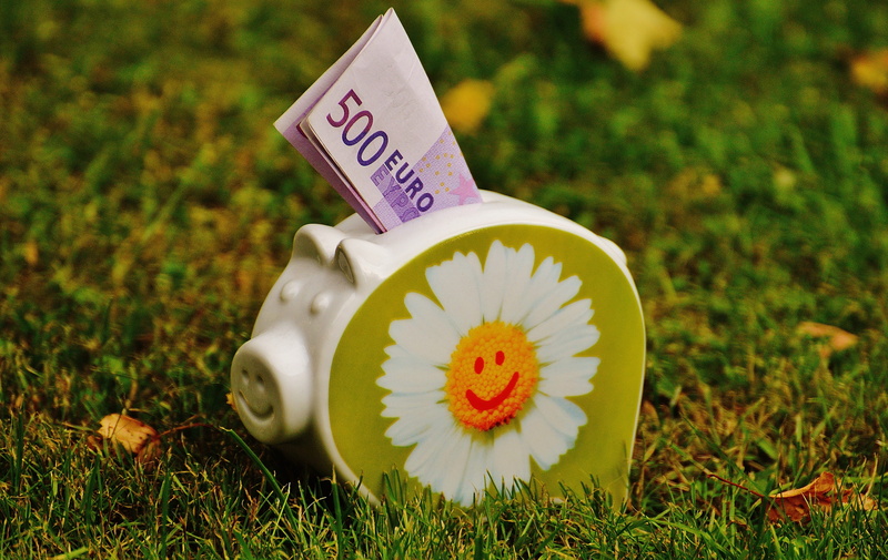 ceramic, dollar bill, green color, nature, grass, money, euro, piglet, flower, focus on foreground, communication, close-up, animal, banknote, day, flower head