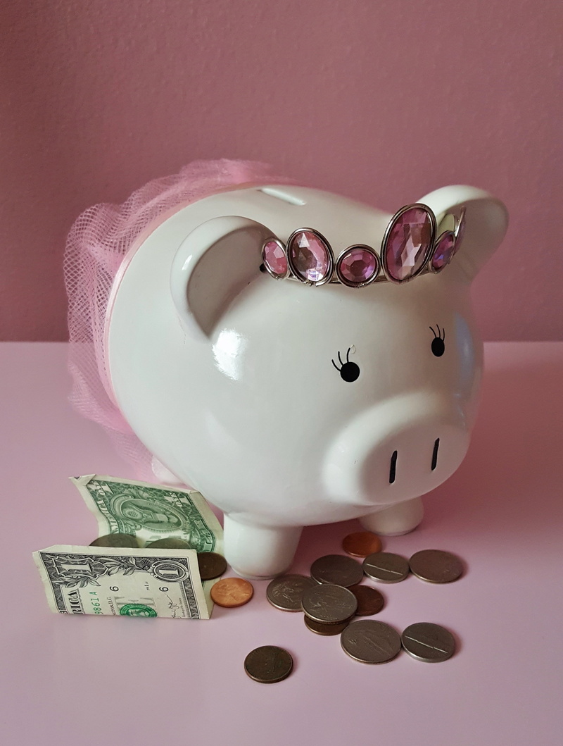 invest, save, piggy, still life, savings, large group of objects, coin Bank, purple, banking, pocket money, indoors, finance, close-up, coins, tax, investment
