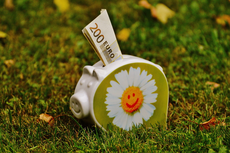 plant, focus on foreground, day, dollar bill, white, bank, economical, ceramic, green, field, nature, 200 euro, money, piggy, growth, communication, save