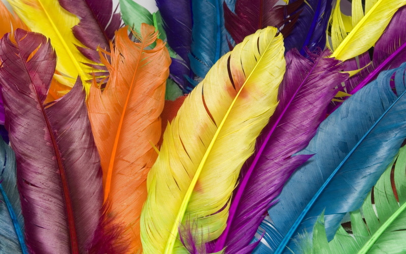 macro, abstract, multicolored, textile, red, for sale, vibrant Color, large group of objects, textile industry, feathers, outdoors, flag, choice, colors