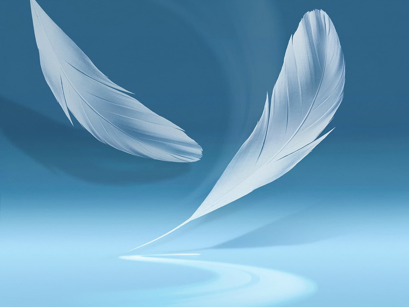 shadow, symbol, close-up, blue background, illustration, nature, pattern, quill pen, shape, 1080P, blue, curve, vector, no People, elegance, colored background