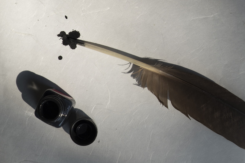 wall - building feature, leave, high angle view, inkwell, still life, stationery, day, paper, animal themes, embroidery, quill pen, close-up, nature, bird feather