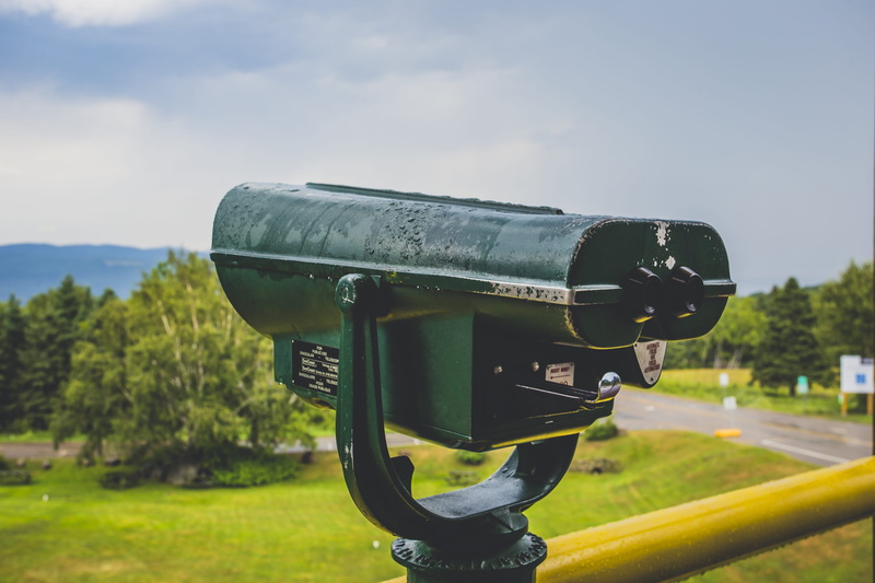 plant, day, transportation, tree, aircraft, quebec, close-up, no people, focus on foreground, grass, green, exploring, outdoors, coin-operated binoculars