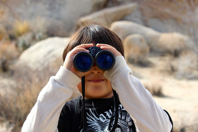 looking through an object, lenses, birding, binocular, boy, headshot, magnify, spotting, view, one person, binoculars, spyglass, 4K, magnifying, lookout