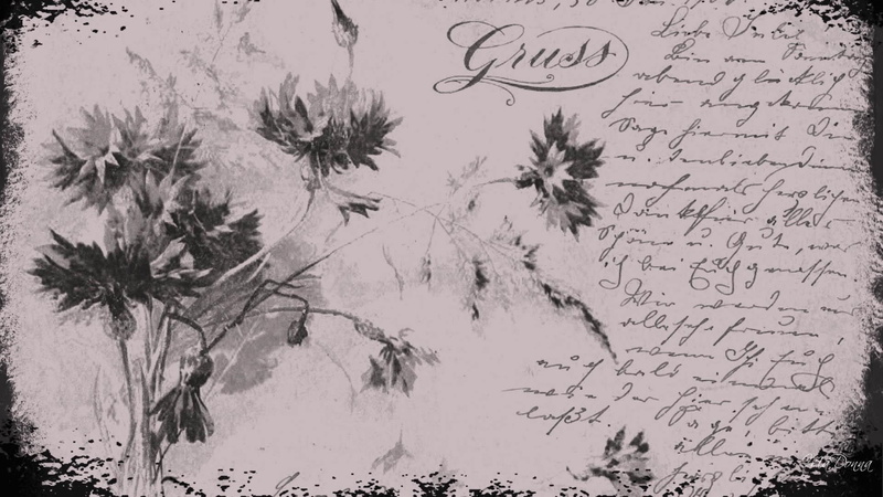 1080P, writing, 3d and abstract, renaissance, flowers, letter, old, antique, vintage, paper, text