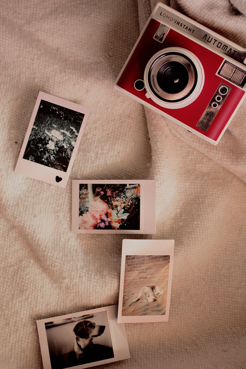 history, high angle view, blanket, animal, photography themes, table, person, electronics, instant photos, still life, wood, mail, directly above, camera