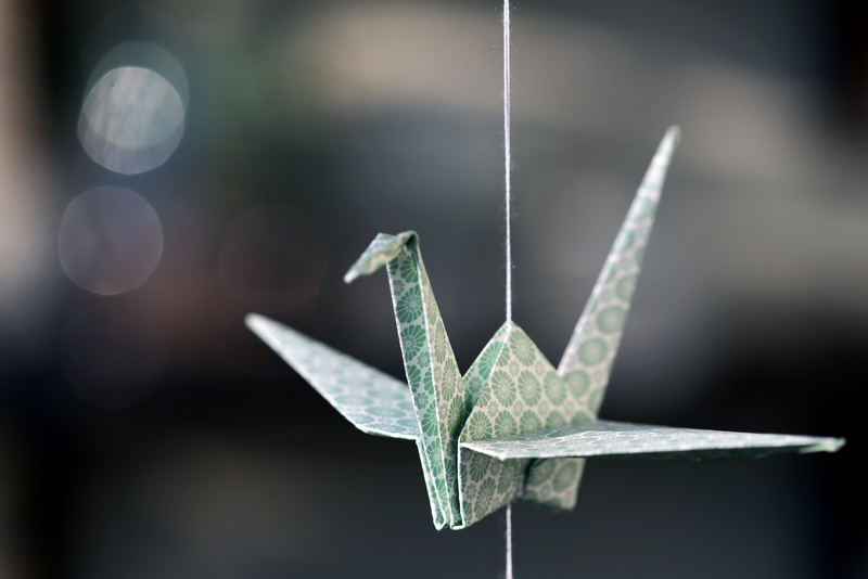 traditional, one animal, selective focus, harmony, origami, legend, balance, animal themes, wing, nature, invertebrate, luck, decoration, tinker, bird