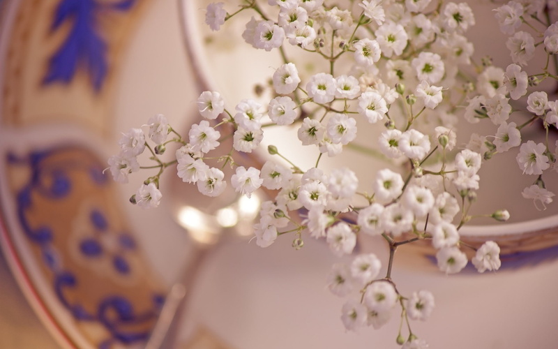 photography, life, 1080P, hd, still