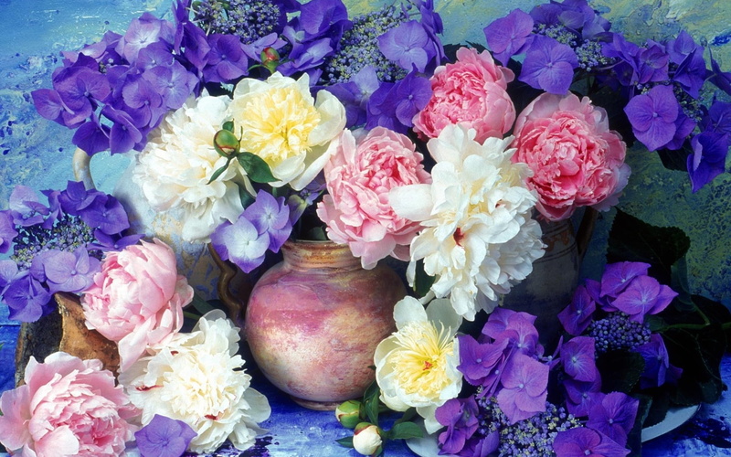 1080P, still, life, photography, hd