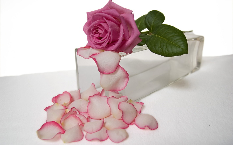 hd, photography, 1080P, still, life