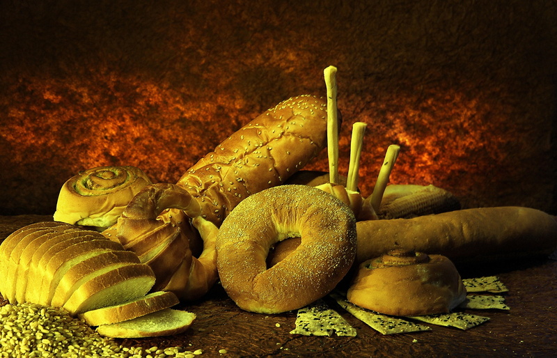 group of objects, plant, bread, healthy eating, animal wildlife, land, snake, animal, Sanket Khuntale, representation, still life, nature, no people, day