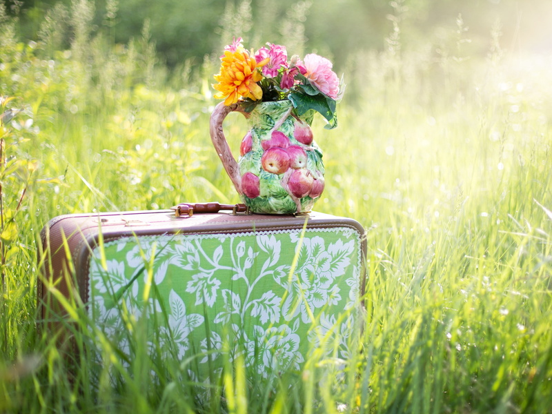 apple, travel, countryside, flowers, suitcase, still life, summer, traveling, grass, meadow, vase, still, 4K, life