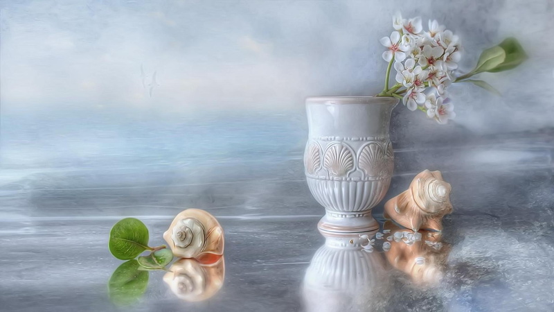 shell, photography, flowers, 3d and abstract, 1080P, vase, still, seashell, life