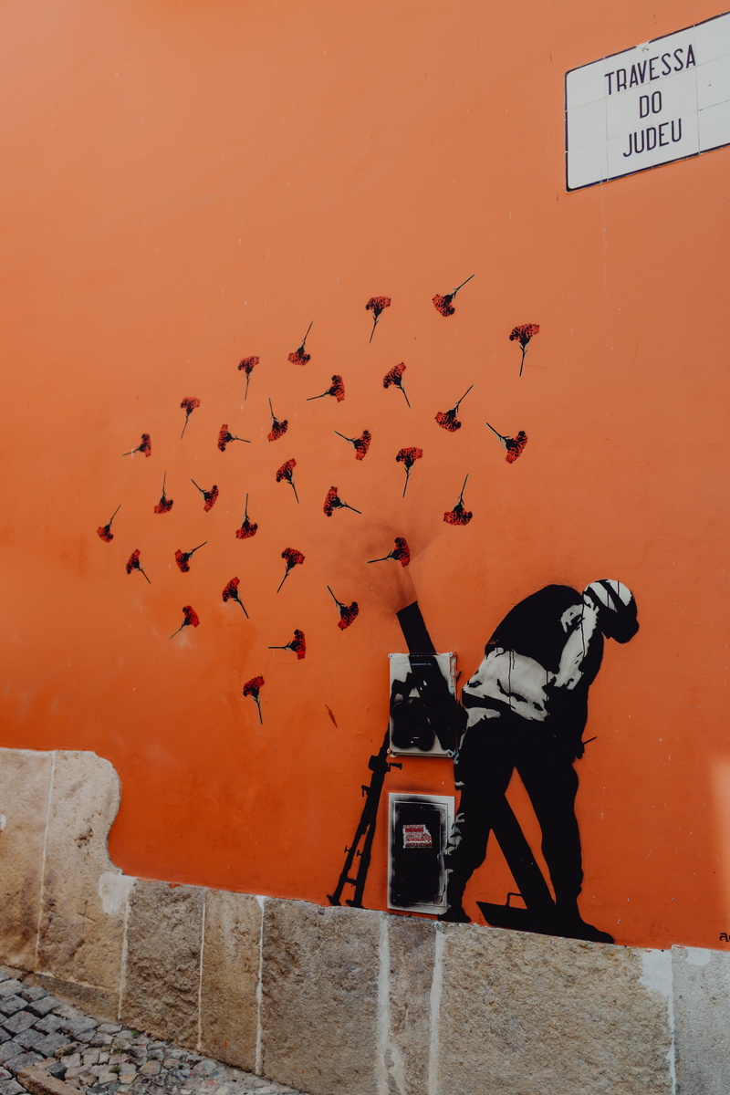 real people, nature, street, Europe, art, people, 5K, street art, flock of birds, men, full length, sky, animals in the wild, bird, lisbon, wall - building feature