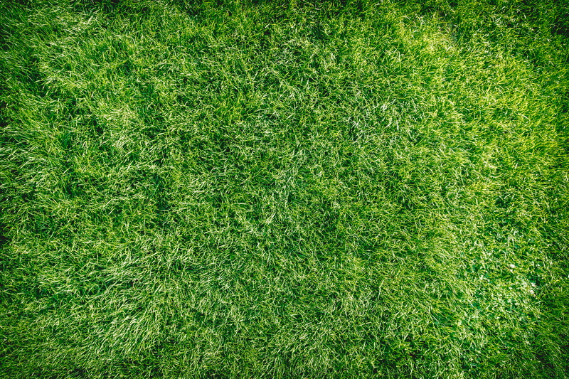 green, high angle view, background, lawn, full frame, clean, grass, team sport, soccer, backgrounds, playing field, growth, 4K, no people, plant, outdoors
