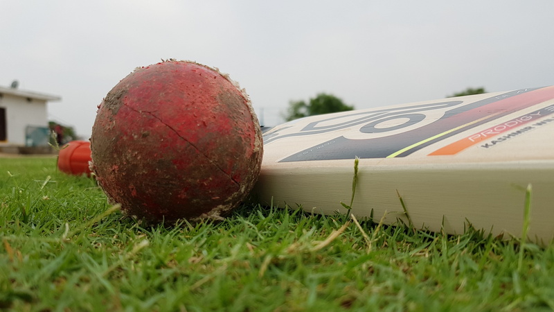 food, healthy eating, field, food and drink, apple - fruit, cricketing gadgets, red, bat, close-up, grass, fruit, day, selective focus, 4K, turf, no people