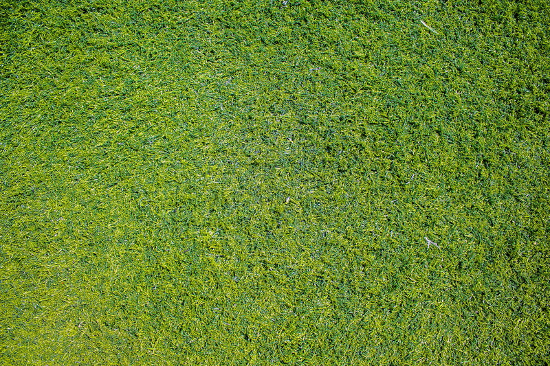 green color, soccer, mockup, full frame, backgrounds, soccer field, grass, no people, plant, high angle view, view, photo, blank, 2K, grass field, sport