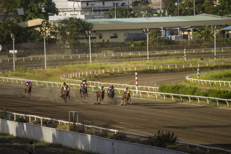 jockey, sports Race, horse, 4K, racecourse, speed, nature, competitive Sport, vertebrate, animal themes, animal Sport, domestic, japan Racing Association