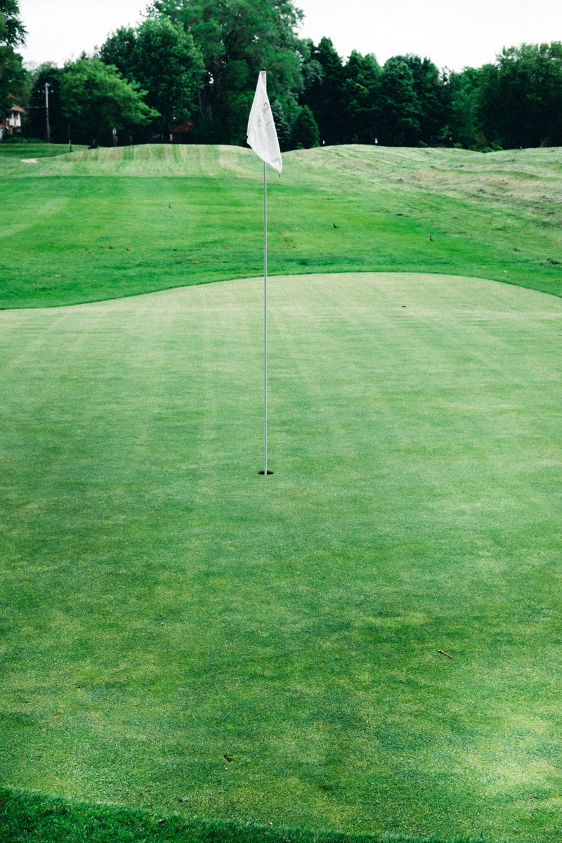 competition, game, activity, british, pga, beautiful, masters, play, no people, green - golf course, land, open, tree, landscape, flag, countryside, outdoors