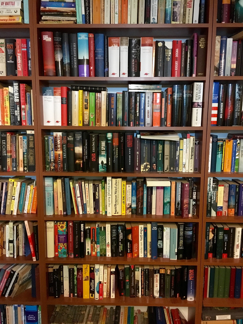 order, books, book, education, in a row, indoors, variation, choice, side by side, multi colored, fethiye, book store, backgrounds, arrangement, shelf