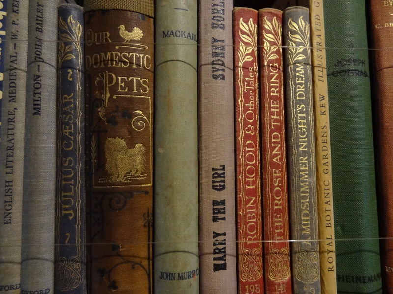 education, books, novel, backgrounds, publication, old, literature, variation, library, learning, number, 4K, photo, up, indoors, closed, close-up, side by side