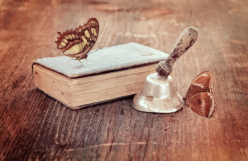 two objects, focus on foreground, Vintage, page, close-up, retrolook, education, animal wildlife, Antique, home interior, animal, table, Wood, publication