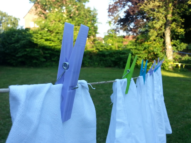 outdoors, daytime, 2K, green color, clothesline, focus on foreground, tree, clothing, clothespin, front or back yard, lawn, jam, white, clothes line, plant