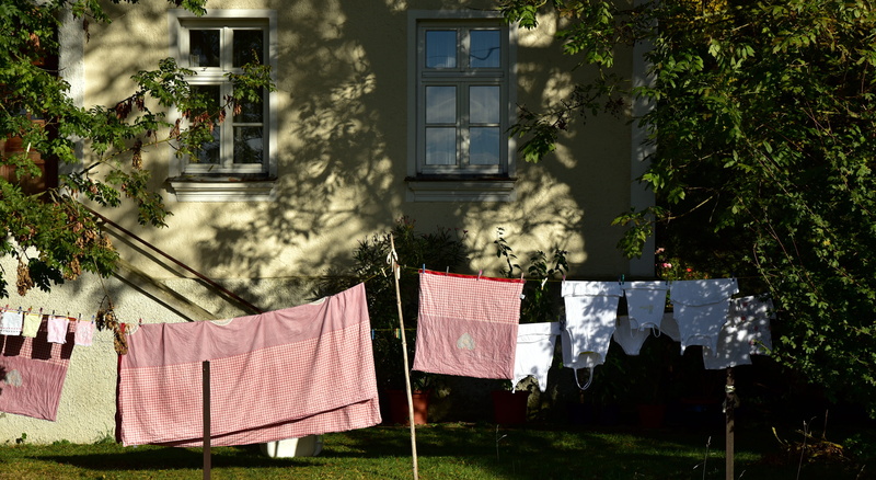 farm, building exterior, built structure, holiday in the country, leash, hanging, laundry, sunlight, budget, dry, nature, rural, plant, day, clothes line