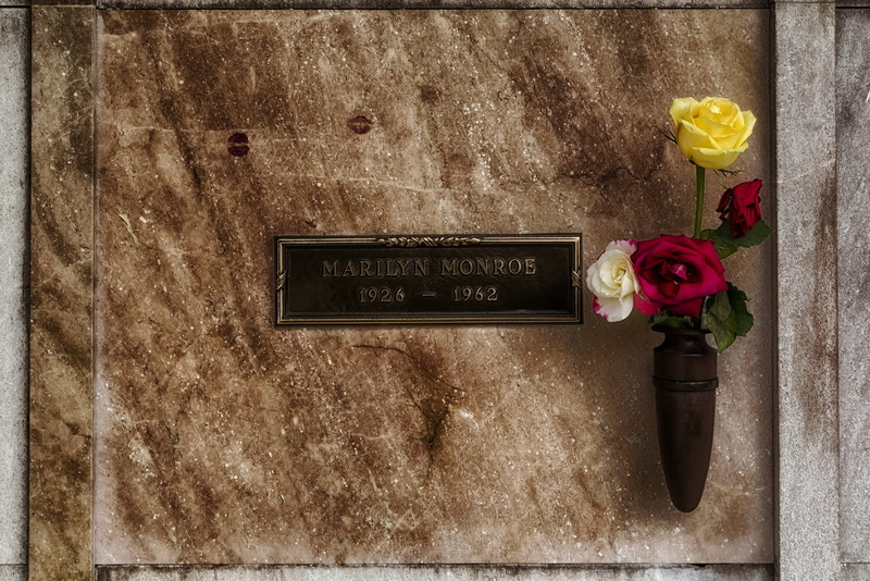 rose, wall, hdr, close-up, flowers, wall - building feature, crypt, tomb, flowering plant, sign, monroe, message, no people, rose - flower, nature, public mailbox