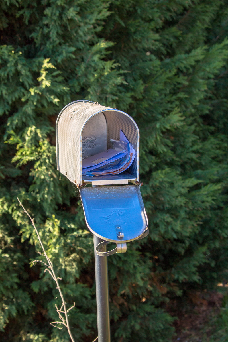 field, plant, focus on foreground, wood - material, 5K, communication, close-up, mailboxes, land, post, purple, mailbox, growth, metal, mail, postman