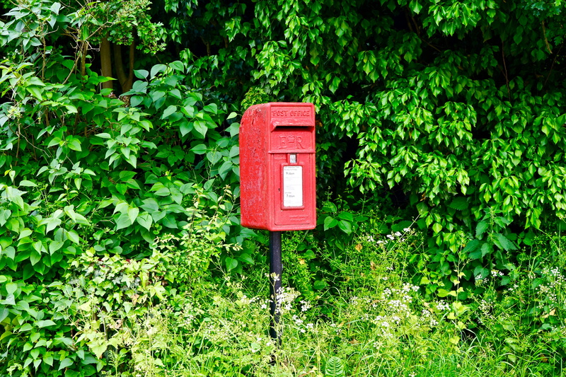 delivery, correspondence, post box, container, no people, growth, nature, technology, telephone, service, plant, day, plant part, mailbox, 5K, box, letterbox