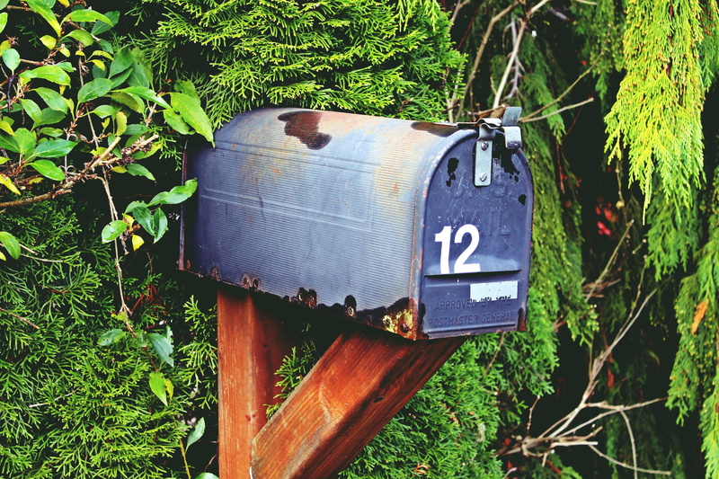 plant part, box, tree, mailbox, green color, mail box, brown, shrubs, twelve, public mailbox, outdoors, post, communication, close-up, no people, sign