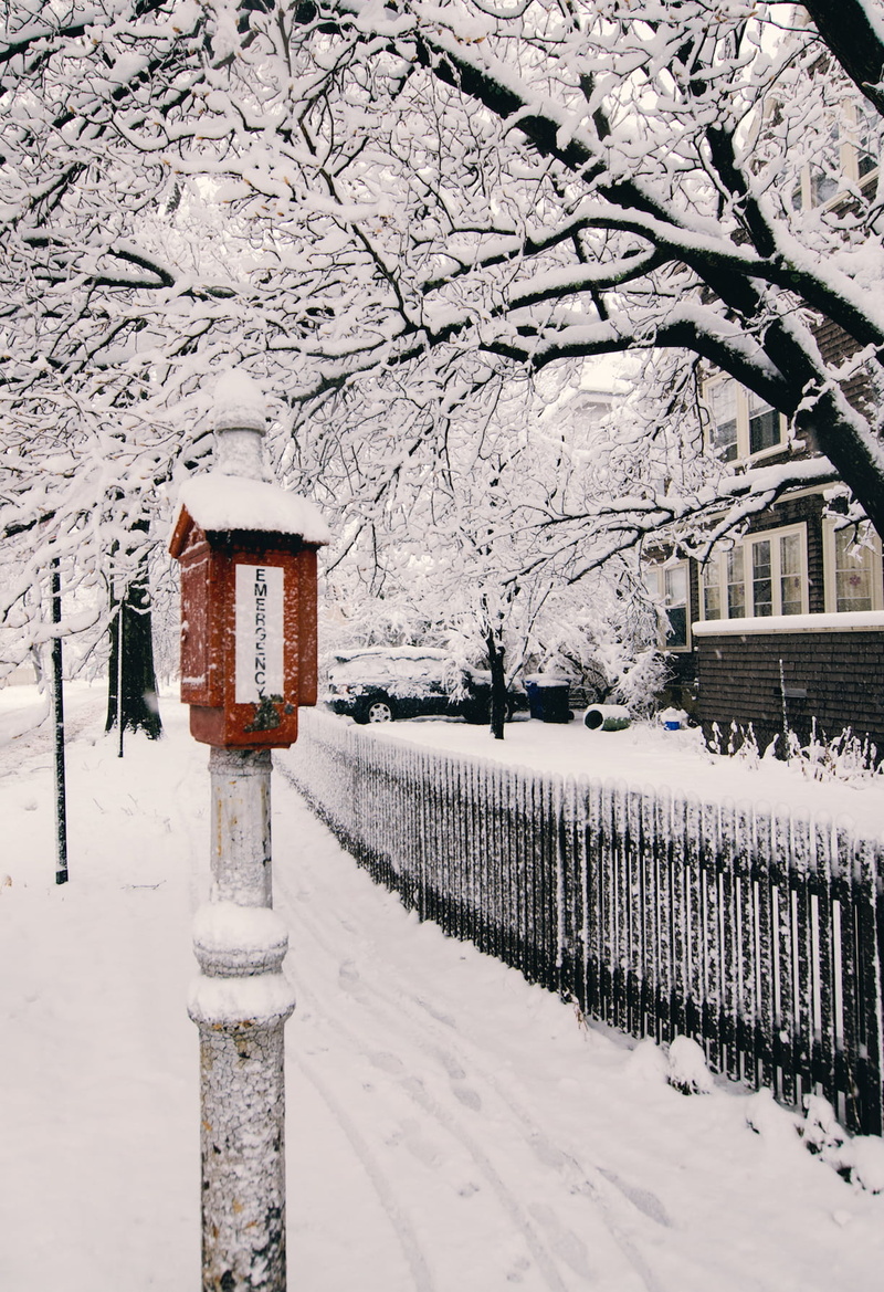 720P, blizzard, architecture, outdoors, white, building, nature, mail, beauty in nature, house, barrier, snowing, branch, frozen, day, extreme weather